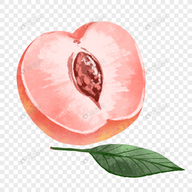 黄页网站APPAPP应用