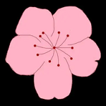 WWW,261se·COM网站APP